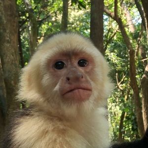 Meet your Posher, Meade